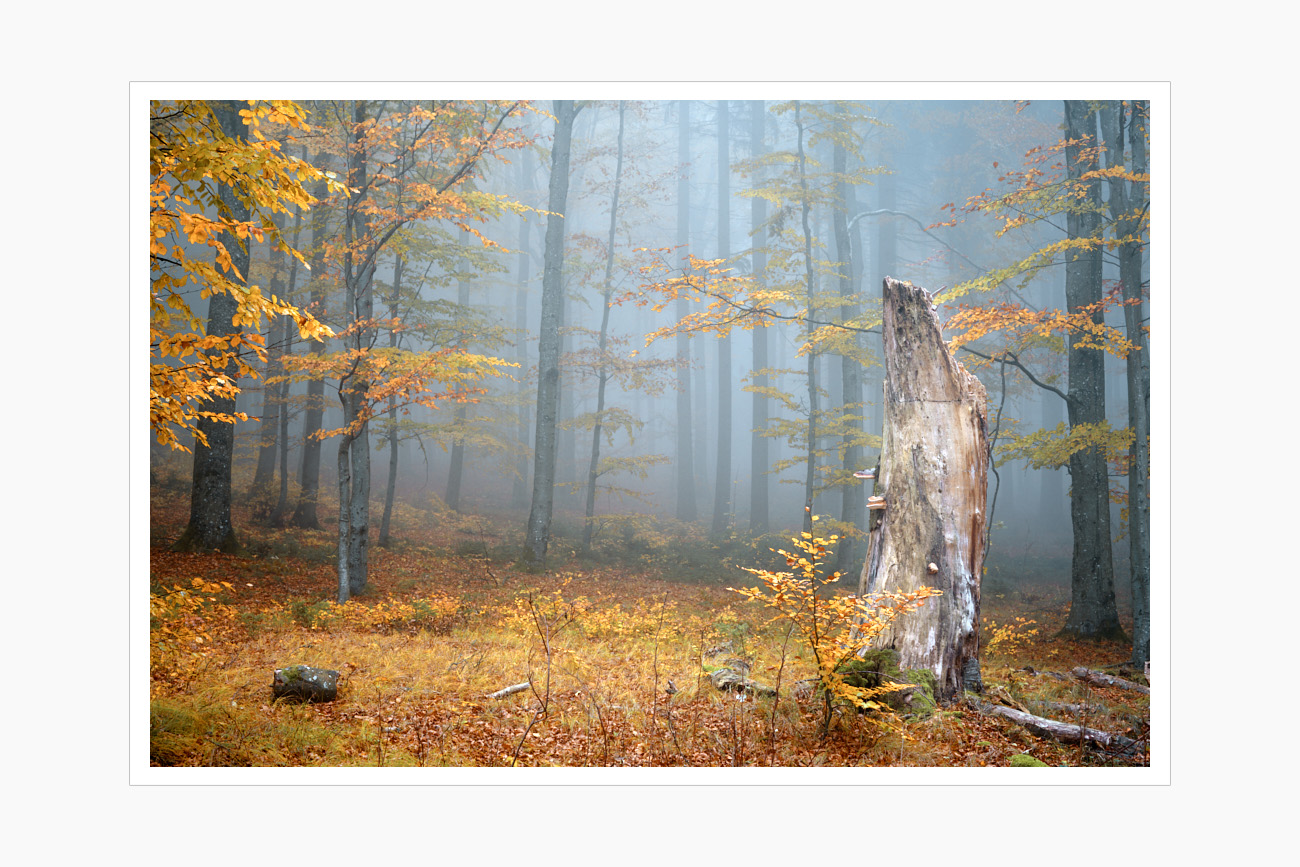 Max Schiefele Alle Bilder DSC00046 PRINT